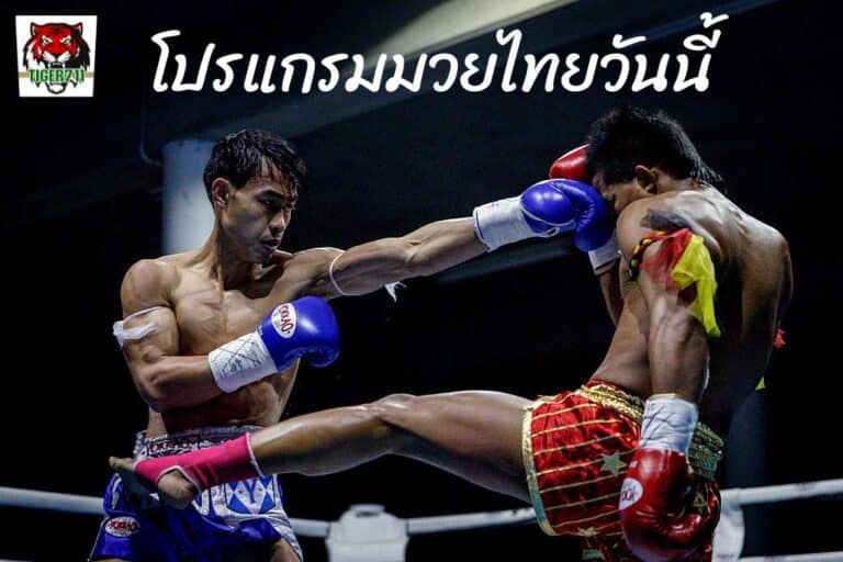 โปรแกรมมวยวันนี้-Tiger711